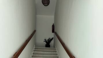 A staircase with a wooden handrail, white walls, and a potted plant at the top.