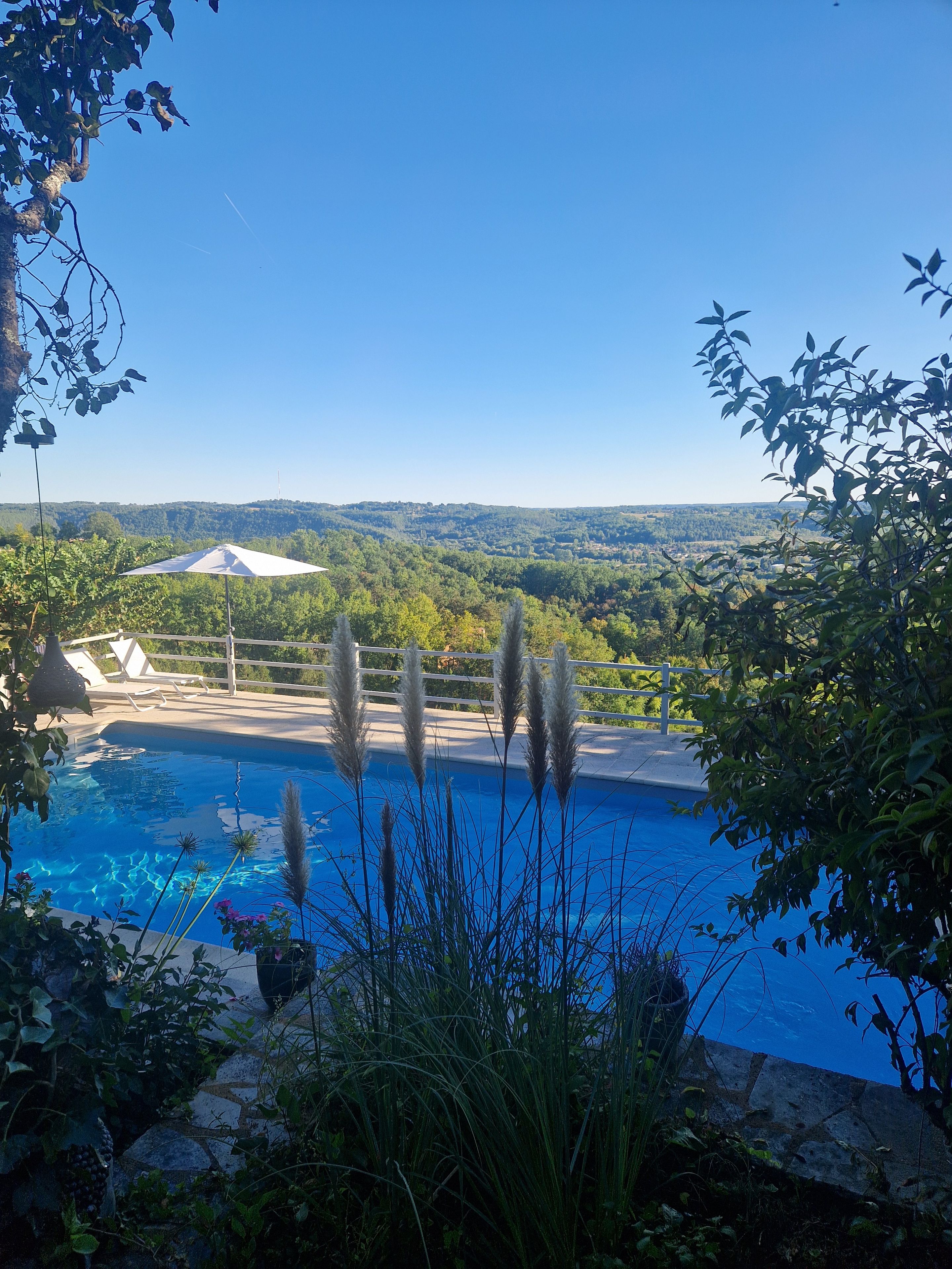 Una piscina con vistas a un edificio lejano y vegetación circundante.