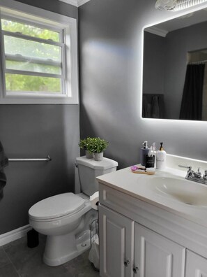 Ein Badezimmer mit Toilette, Waschbecken und Spiegel. Über der Toilette befindet sich ein Fenster, und auf dem Waschbecken ein Zimmerpflanze.