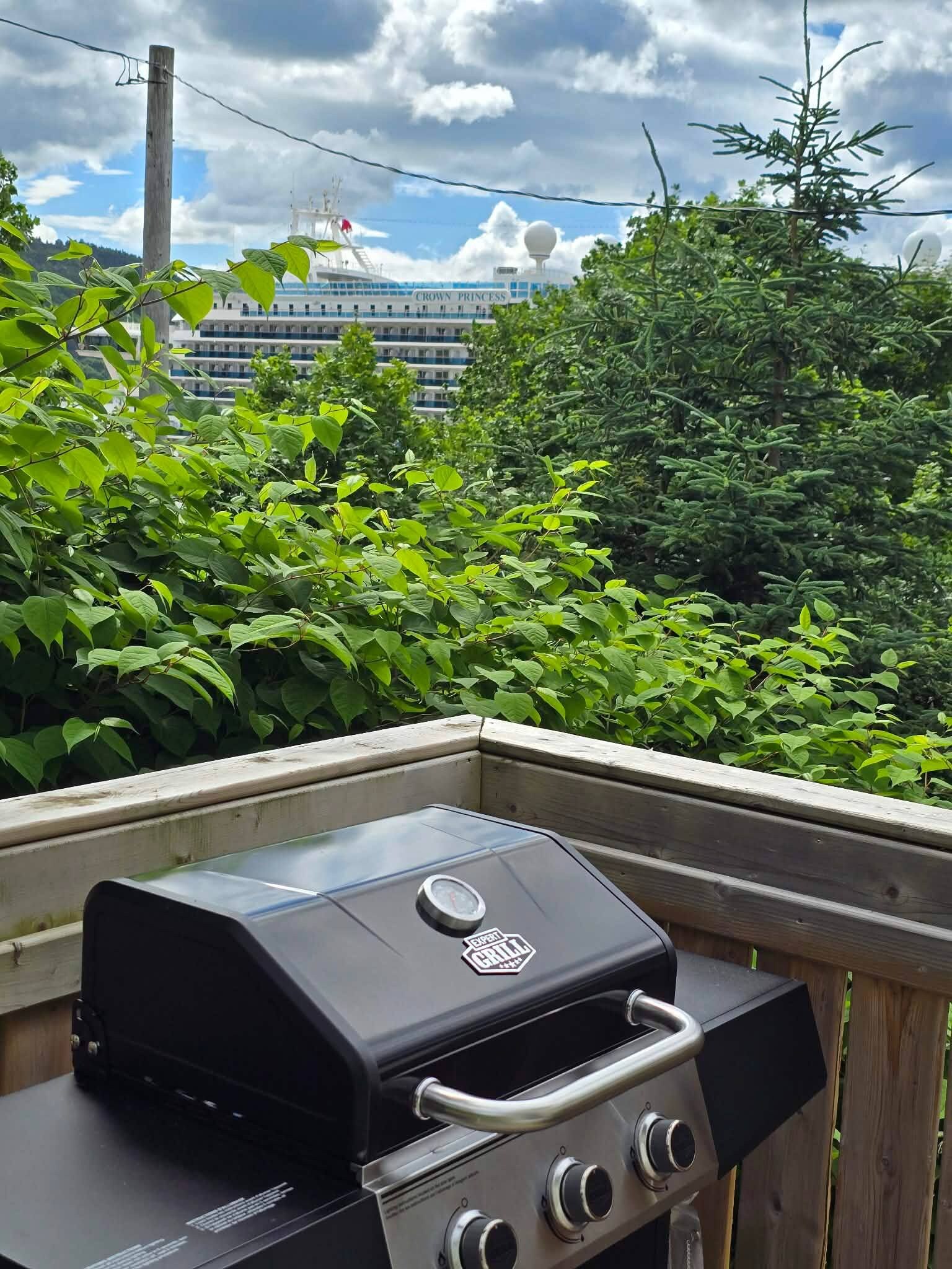A barbecue grill on a balcony with a view of a cruise ship in the background.