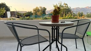Une table ronde en métal, avec deux chaises, une plante en pot et une petite assiette posée sur la table.
