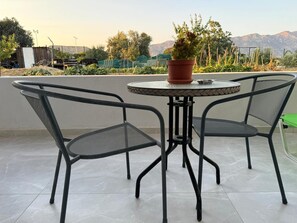 A round metal table with two chairs, a potted plant, and a small dish on the table.