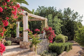 A garden with a pergola, stone steps, and lush greenery. - Ca´n Lull – Unique finca within olive grove, bespoke amenities (max. 10 guests) (Marratxi)