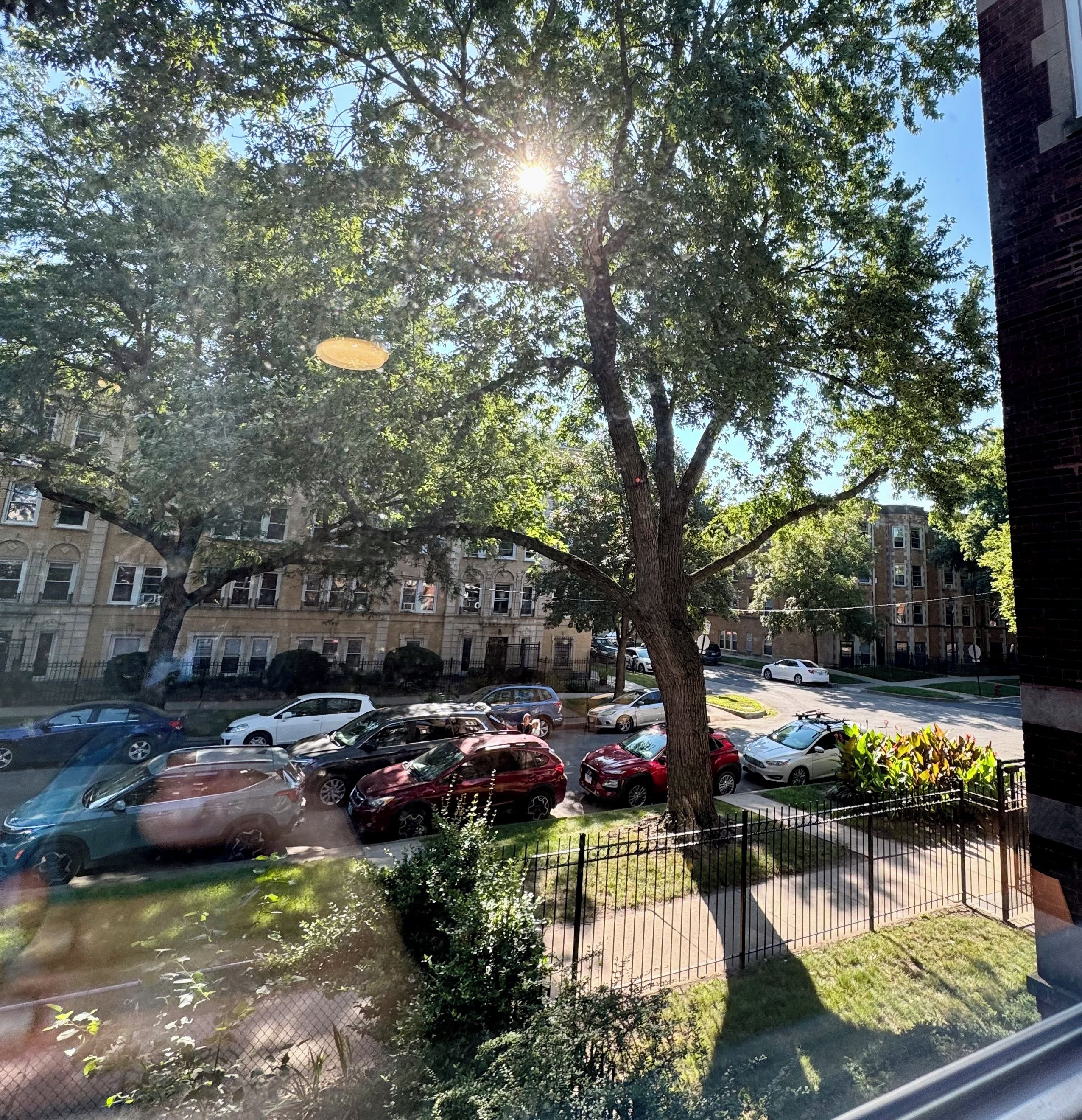 Un parking avec plusieurs voitures, un arbre et des bâtiments en arrière-plan.