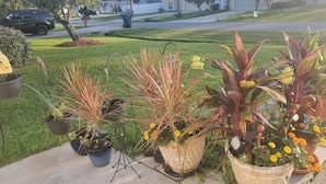 A residential street with houses, a parked car, and potted plants on the sidewalk.