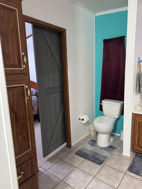A bathroom with a toilet, a roll of toilet paper, a dark-colored shower curtain, and a wooden door.