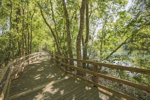 A wooden boardwalk with railings, surrounded by dense green foliage and trees.