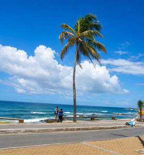 Eine Strandansicht mit einer Palme, Meereswellen und blauem Himmel.