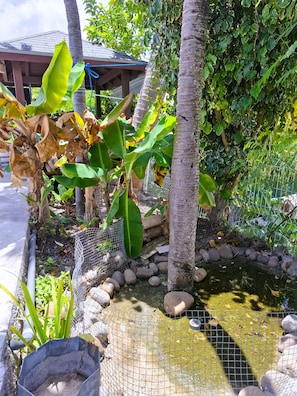 A garden with a pond, rocks, and a wire fence. - Villa Tartaruga - piscine privée, proche plage et centre ville (Sainte-Anne)