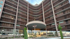 A multi-story building with a central atrium, surrounded by a variety of plants and cacti. - Vrbo Property (Tijuana)