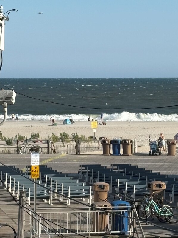 A beachside promenade with a view of the ocean, a no dogs sign, and a bicycle parked near the railing.