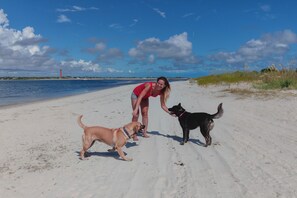 A beach with a lighthouse in the distance, a person bending down, and two dogs on the sand. - 🏁 Ocean Terrace Club 107 | Ground Floor | Steps to Daytona Beach (Daytona Beach Shores)
