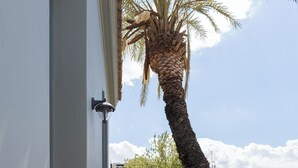 A balcony with a table, chairs, and a palm tree. - A neoclassical monument with Acropolis view in the Historic Center of Athens (Athina)