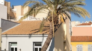 A building with a palm tree, a balcony, and a window with shutters. - A neoclassical monument with Acropolis view in the Historic Center of Athens (Athina)
