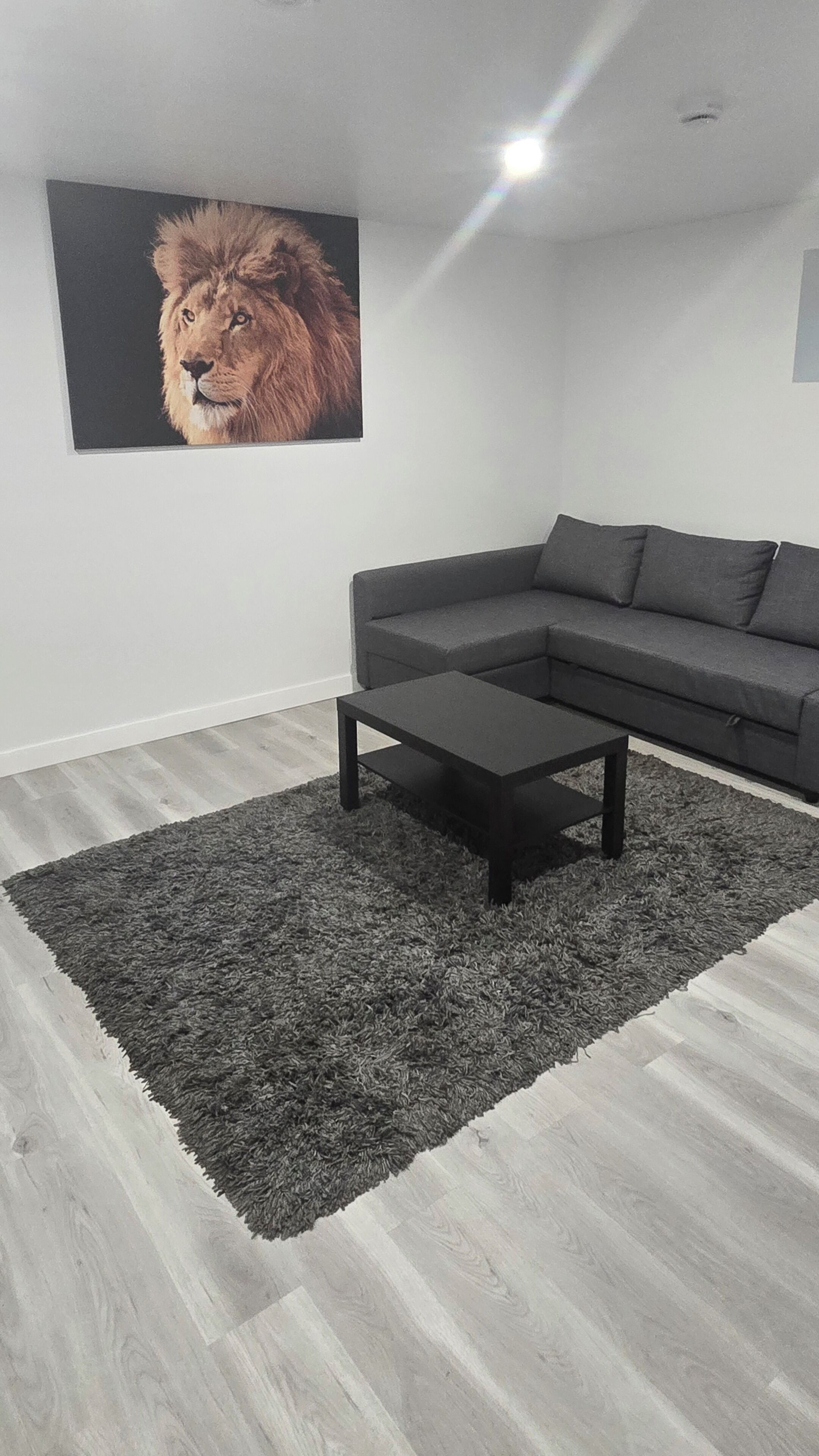 Un salon moderne avec un canapé d’angle, une table basse et un grand tableau encadré au mur.