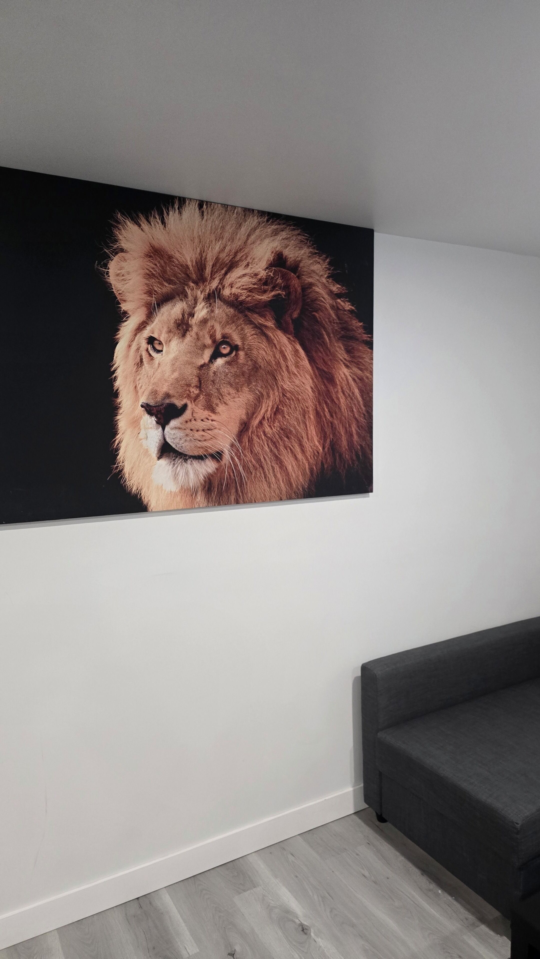 Ein Zimmer mit einem großen gerahmten Bild eines Löwen an der Wand, einem grauen Sofa und einem hellen Holzboden.