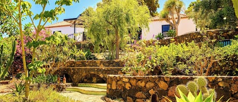 A garden with a stone pathway, various plants, and a building with a tiled roof.