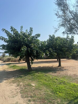 A park with trees and a dirt path. - Stunning apartment with a view of the lagoon, 250 meters from the beach (Saint-Cyprien)
