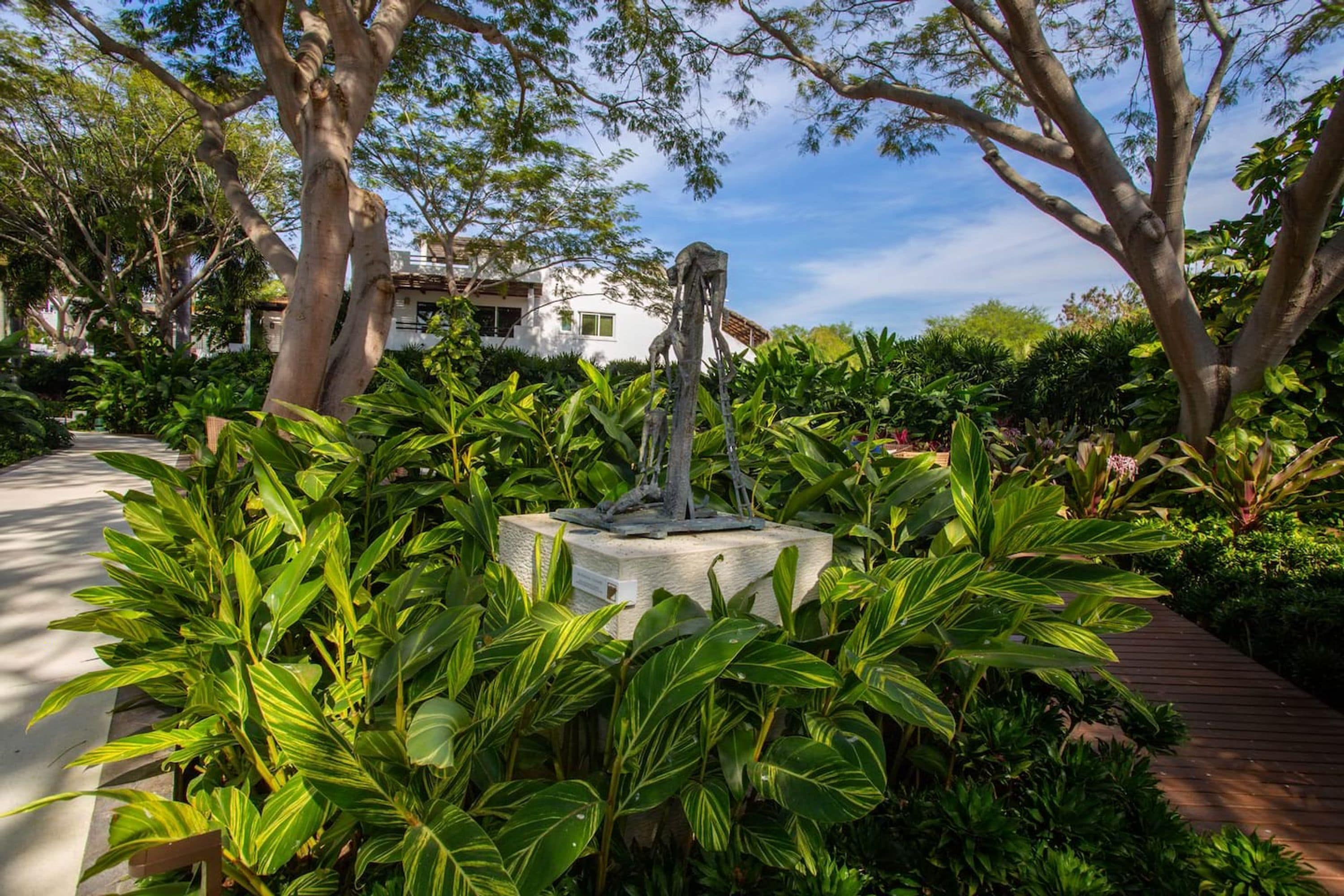 Un jardin agrémenté d’une fontaine centrale, entouré d’une végétation luxuriante et d’arbres.