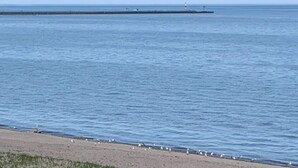 A beach with a long pier extending into the water, a sandy shore, and seagulls on the beach. - 2BR Shoreside Retreat w/ Beach Access & Interiors (Rochester)