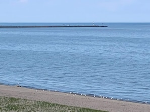 Ein Strand mit einer langen Seebrücke, die sich ins Wasser erstreckt, einem sandigen Ufer und Möwen am Strand.