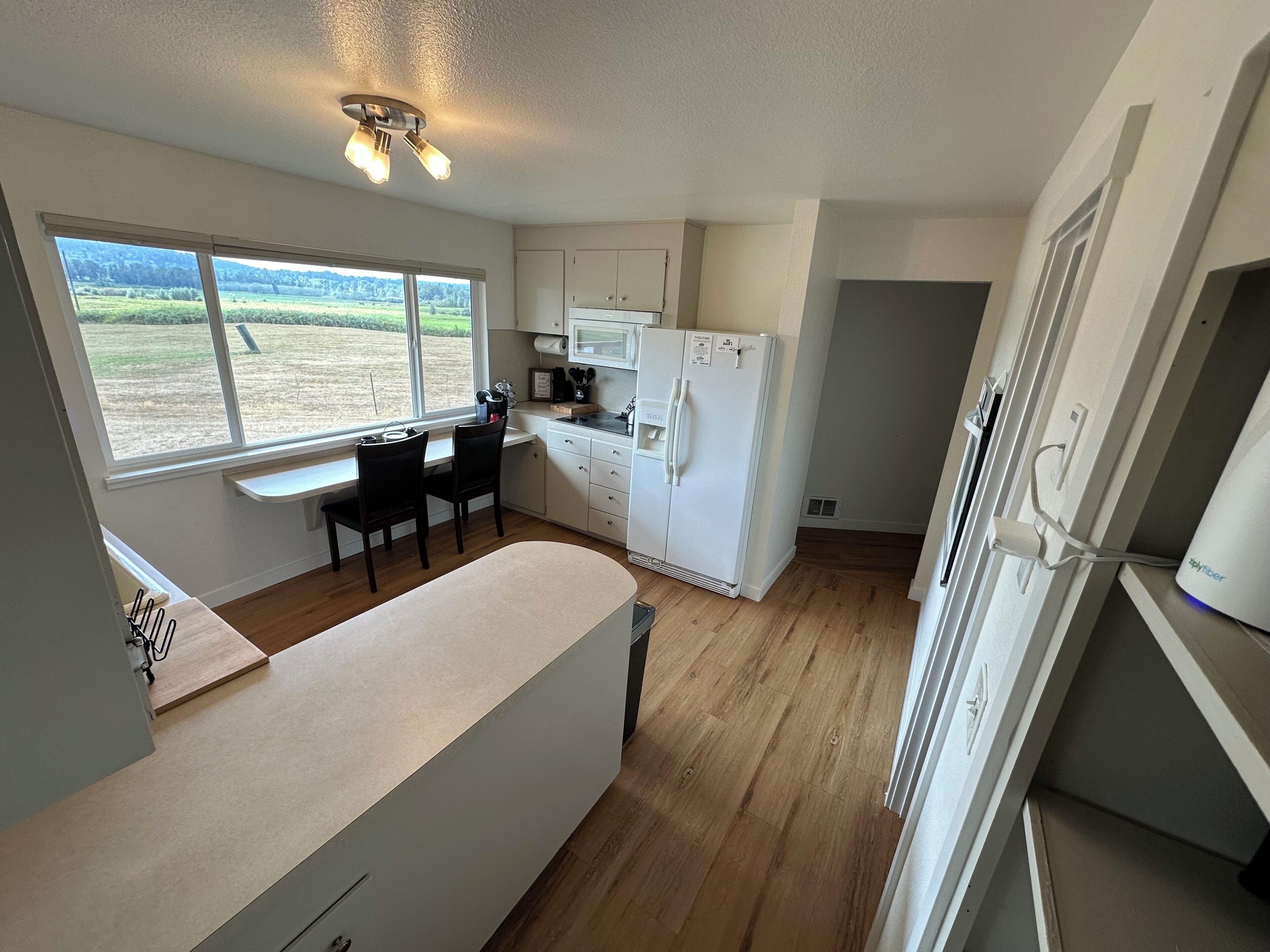 Una cocina compacta con ventana, refrigerador y microondas.