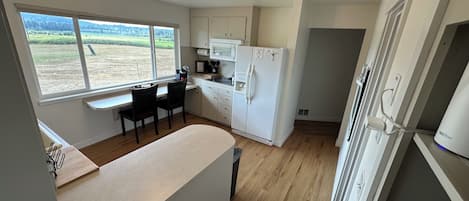 Una cocina compacta con ventana, refrigerador y microondas.