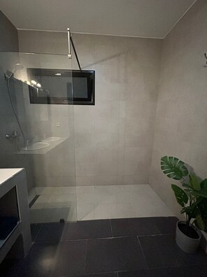 Ein modernes Badezimmer mit einer gläsernen Dusche, einem Waschbecken und einer Topfpflanze.