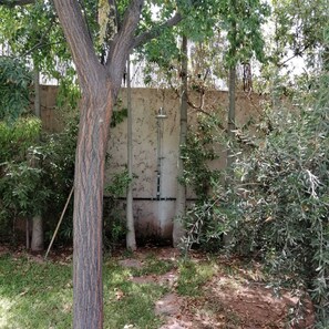 Ein Baum in einem Garten, im Hintergrund eine Betonmauer.
