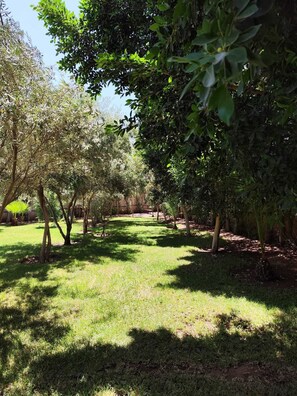 Un jardin bien entretenu, avec une variété d’arbres et un chemin bien dégagé.