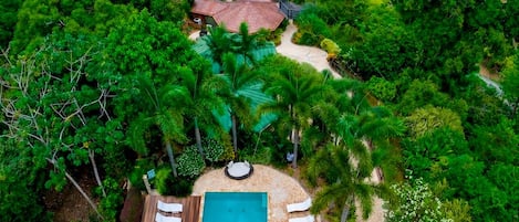 Un complexe hôtelier tropical doté d’une piscine, de chaises longues et offrant une vue sur l’océan.
