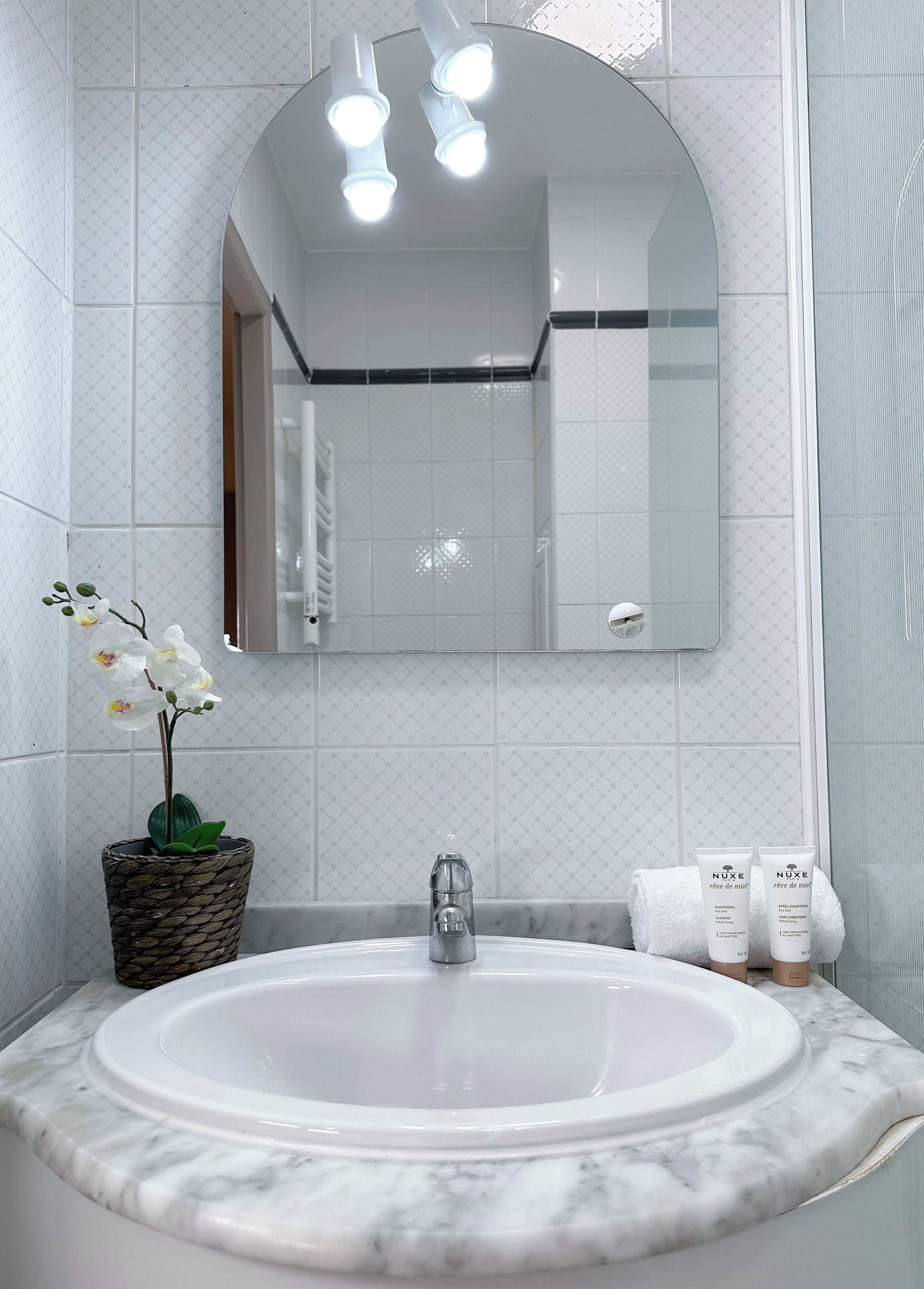 A bathroom with a white sink, a mirror, and a potted orchid.