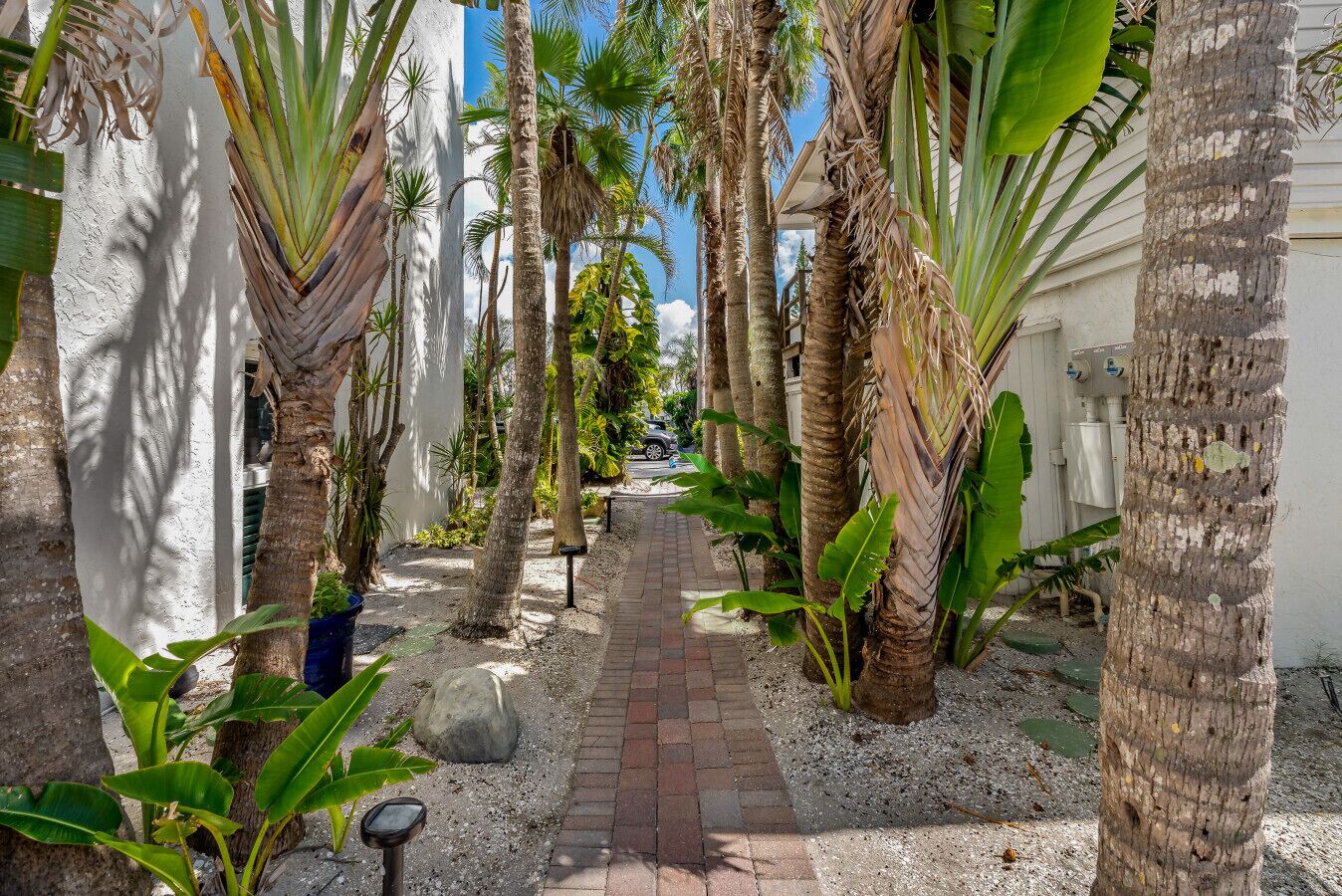 A pathway flanked by palm trees and a white building, leading to a covered area with a water fountain.