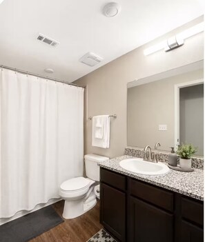 A bathroom with a shower curtain, toilet, sink, and a mirror above the sink. - The Heritage Loft - Cozy 1BR for Extended Stays (Midlothian)
