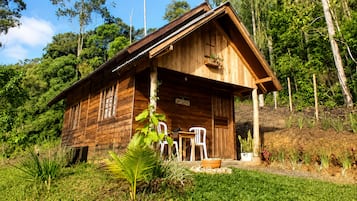 Uma cabana de madeira com varanda, cercada por vegetação exuberante e árvores.