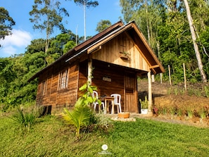 A wooden cabin with a porch, surrounded by lush greenery and trees.