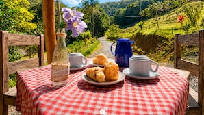 Une table dressée pour un pique-nique, avec une nappe à carreaux, une bouteille, des gobelets et des biscuits.