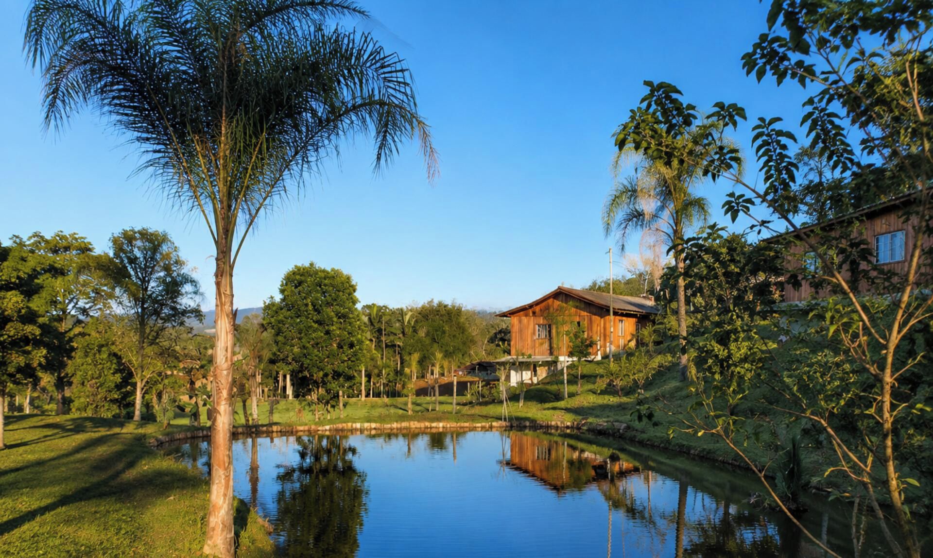 Una casa de madera con un estanque frente a ella, rodeada de árboles y vegetación.