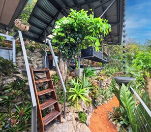 A covered outdoor area with a wooden ladder, a hanging planter, and various plants.