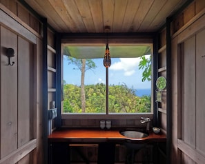 A wooden interior with a window overlooking a forested area.