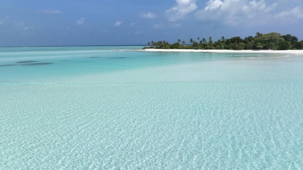 Ein klares türkisblaues Meer mit einem Sandstrand und einer kleinen Insel mit Bäumen in der Ferne.