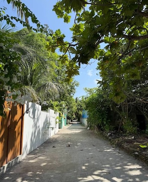 A narrow pathway flanked by lush greenery and a wooden fence, leading to a building with a blue door.