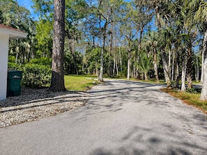 A paved driveway leading to a building with a green trash bin, surrounded by trees and greenery. - Private Naples Guesthouse with Pool Near Beaches (Naples)