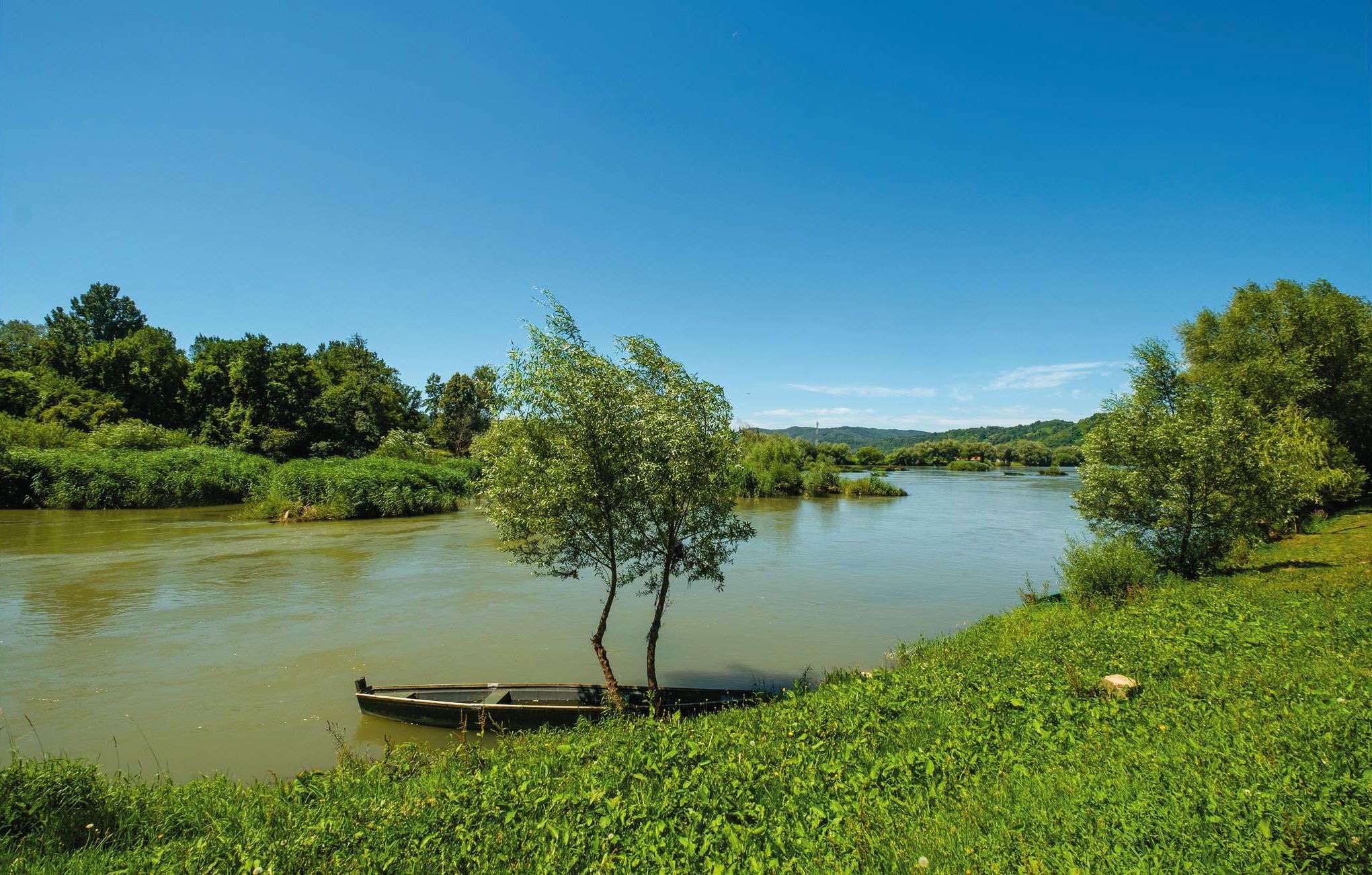 Een rivier met een boot en een boom aan de oever.