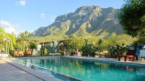 A swimming pool with a mountain backdrop, surrounded by cacti and palm trees.