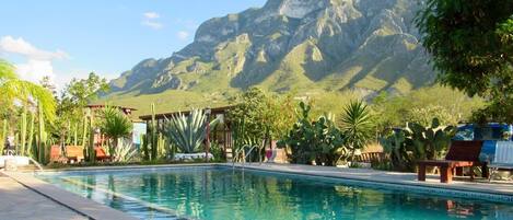 A swimming pool with a mountain backdrop, surrounded by cacti and palm trees.