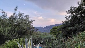 Ein Garten mit verschiedenen Pflanzen, einem Metallzaun und einer weiten Aussicht auf Hügel.