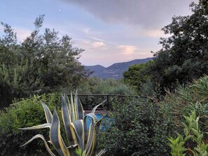Property grounds - Vrbo Property (Berre-les-Alpes)