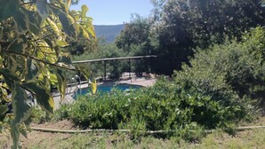 Ein Garten mit Schwimmbecken, umgeben von üppiger Vegetation und blauem Himmel.