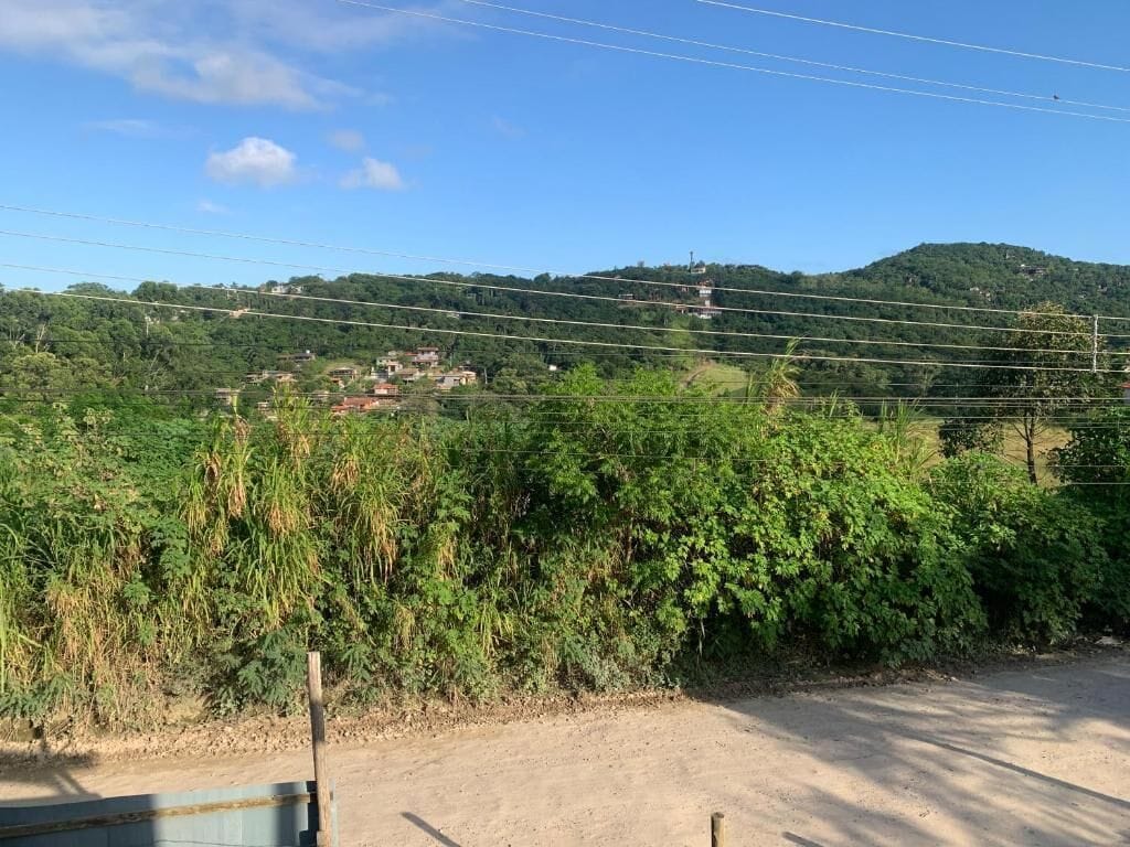 Un paysage rural avec un chemin de terre, une végétation luxuriante et une colline où l’on aperçoit des bâtiments au loin.